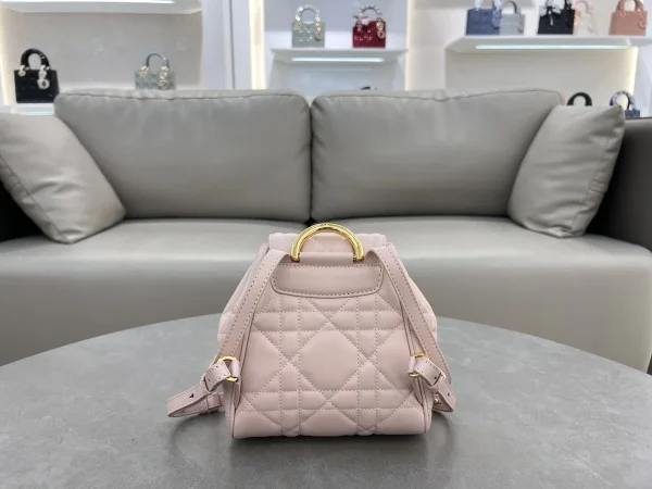 Dior Caro 胭脂粉背包小號PM-M6302：圖片 3