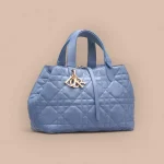 Dior Toujours 藍色小牛皮肩背包中號MM-M2821