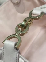 Dior Toujours 粉紅小牛皮單肩包小號PM-M2822：圖片 9
