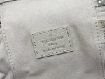 Louis Vuitton Vanity Chain Pouch 經典旅行風鏈條小包：圖片 11