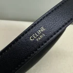 高仿CELINE-賽琳 金色飾面牛皮革肩背包-114713：圖片 7