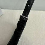 高仿CELINE-賽琳 銀色飾面牛皮革斜挎包-115703：圖片 8