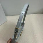 高仿CELINE-賽琳 時尚羊皮革肩背包-115703：圖片 8