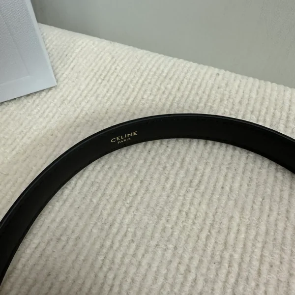 高仿CELINE-賽琳 Triomphe 牛皮革手提肩背包-118053：圖片 9