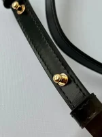 高仿CELINE-賽琳 金色TRIOMPHE按扣迷你牛皮手袋-10I513：圖片 8