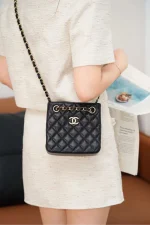 Chanel/香奈兒 25C Mini Tote 黑金荔枝牛皮款：圖片 4