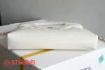 高仿香奈兒/Chanel 25P Nano白色菱格紋鏈條包：圖片 4