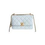 高仿香奈兒/Chanel 25S 奶白色Wallet on Chain WOC發財包