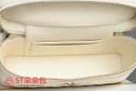 高仿香奈兒/Chanel  Vanity系列 經典菱格紋鏈條盒子包 白色：圖片 10