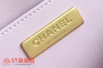 高仿香奈兒/Chanel Coco Handle小型手袋粉色：圖片 9