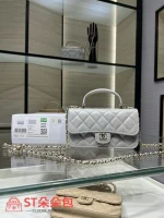 高仿香奈兒/Chanel Classic Flap系列 Mini帶手柄淺灰色：圖片 2