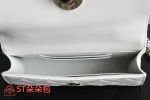 高仿香奈兒/Chanel 25S WOC鏈條包 白色：圖片 9