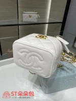 高仿香奈兒/Chanel Camera Case 淺藍色：圖片 5