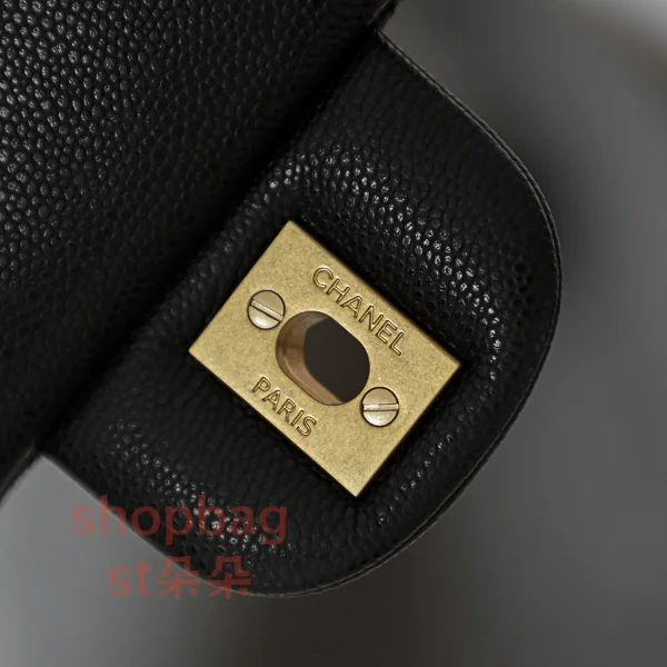 高仿香奈兒 Chanel 25B 穿皮手柄CF MINI大號 鏈條包：圖片 13