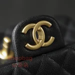 高仿香奈兒 Chanel 25B 穿皮手柄CF MINI大號 鏈條包：圖片 11