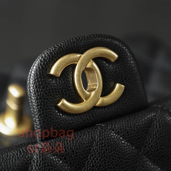 高仿香奈兒 Chanel 25B 穿皮手柄CF MINI大號 鏈條包：圖片 11