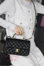 高仿香奈兒 Chanel 25B 穿皮手柄CF MINI大號 鏈條包：圖片 24