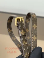 高仿包LV Express MM 2025年秋季潮款 深棕色 單肩包 中號 M26397：圖片 16