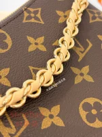 高仿包 LV MULTIPASS Mini 新款2026 老花斜挎包 M29099：圖片 13